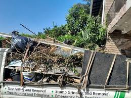 Best Scrap Metal Removal  in Ridgely, MD
